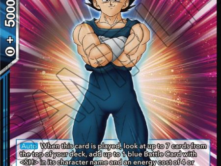 Vegeta, Daily Diligence (BT19-057) [Fighter s Ambition] Hot on Sale