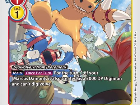 Agumon [BT13-008] [Versus Royal Knights Booster] Online now