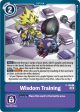 Wisdom Training [P-108] (Blast Ace Box Topper) [Promotional Cards] on Sale