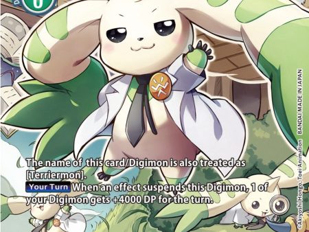 Terriermon Assistant [EX4-033] (Alternate Art) [Alternative Being Booster] Supply